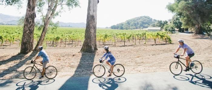 Three cyclists riding together on shaded vineyard pathway