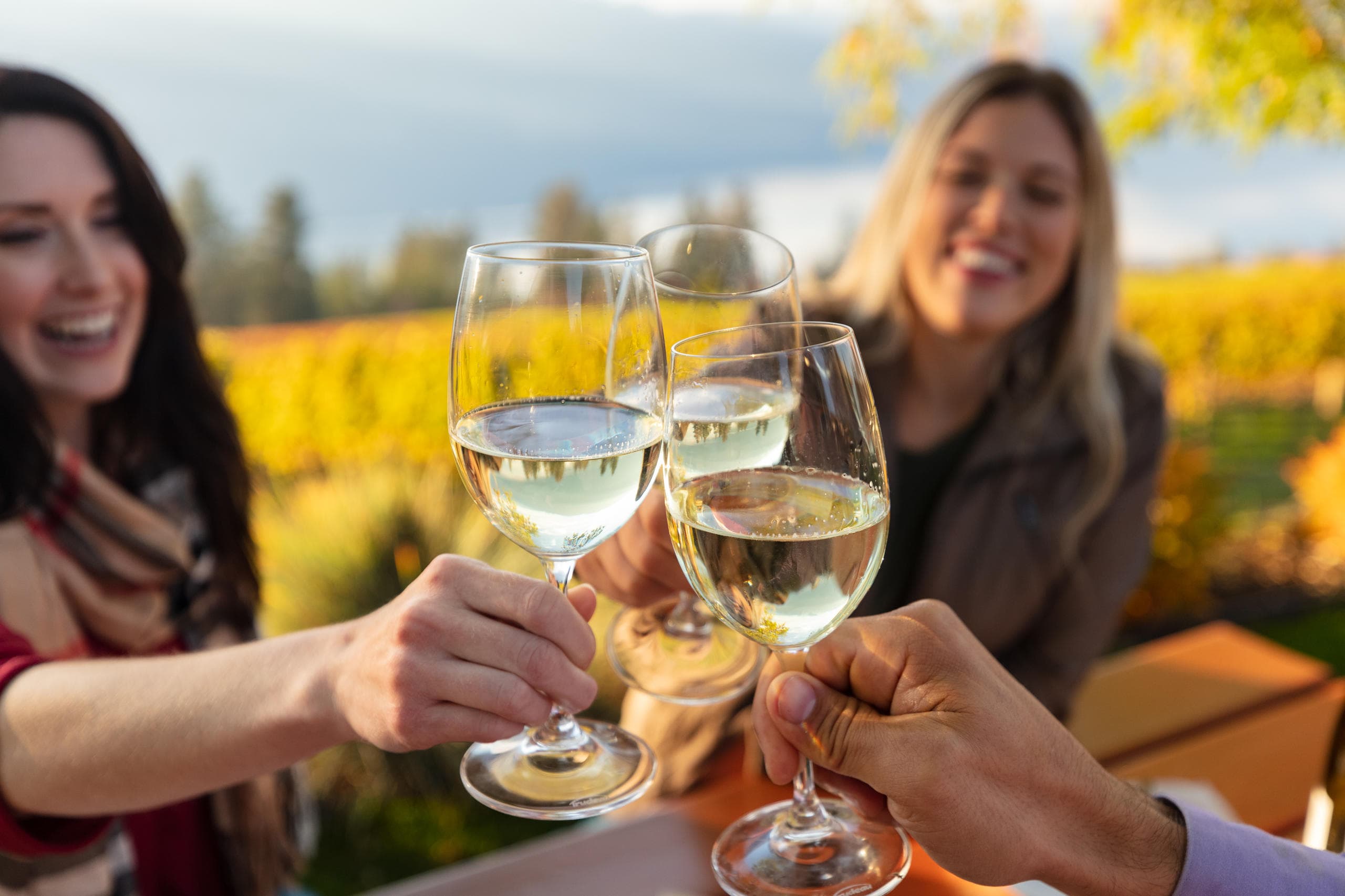 Exploring Sardinia’s Vineyards: A Scenic Minivan Wine Tour from Olbia