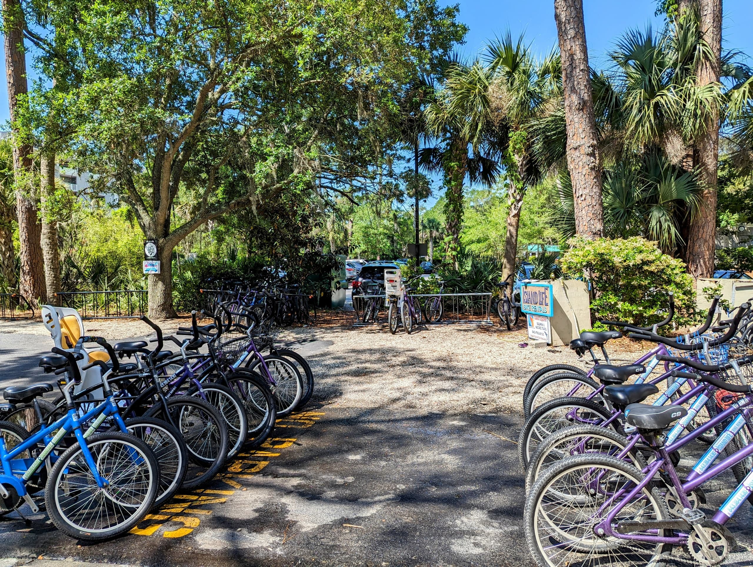 Explore Hilton Head Island with a Flexible 4 Day Bike Rental