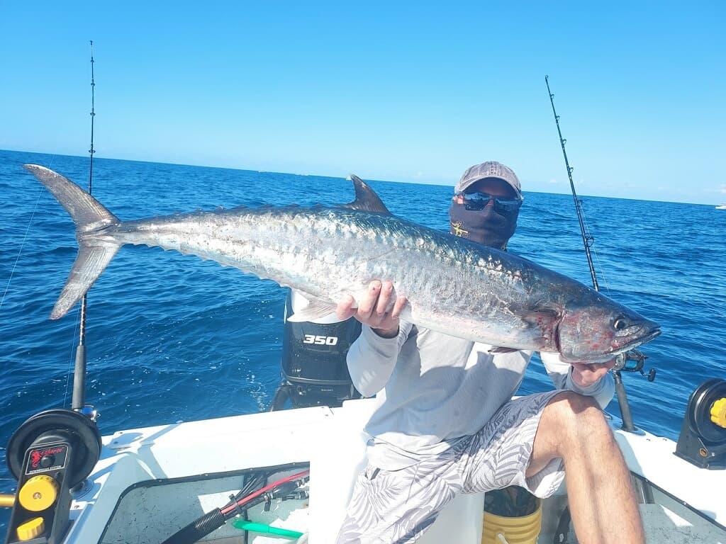 Angler holding large kingfish aboard offshore sportfishing boat