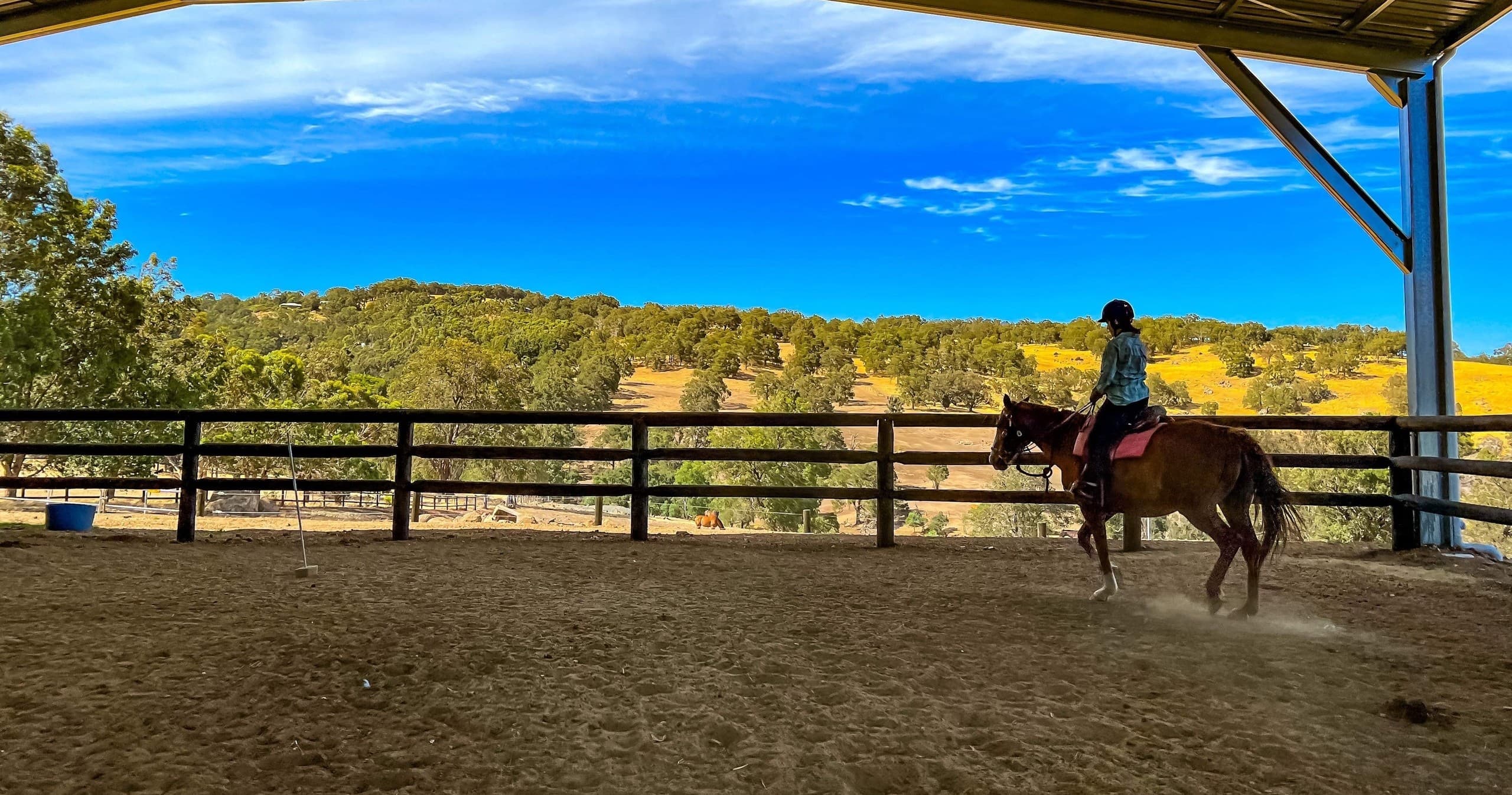 Private Horse Riding Lessons at Jarrahdale Equestrian Centre