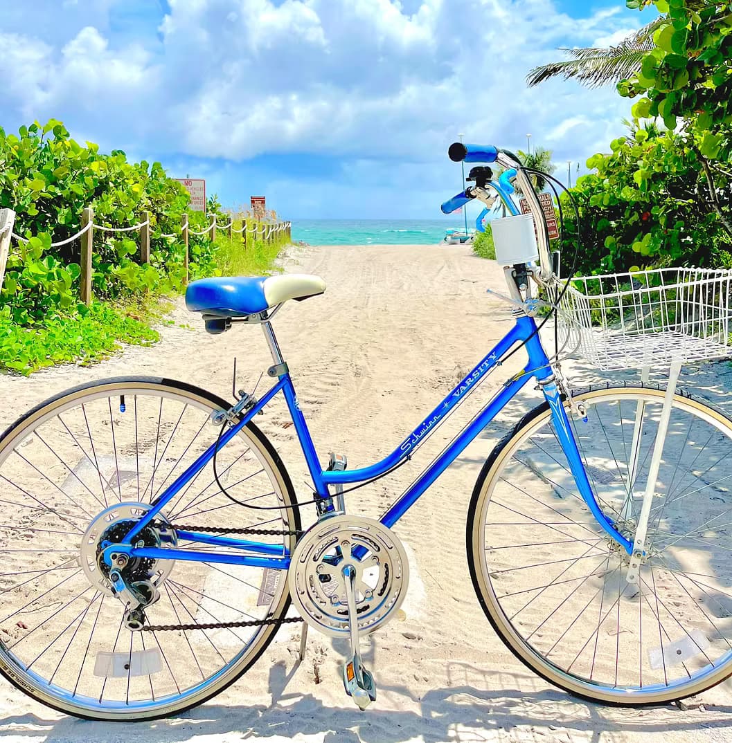 Schwinn Varsity Bike Rentals at Seaside Bicycle Rentals