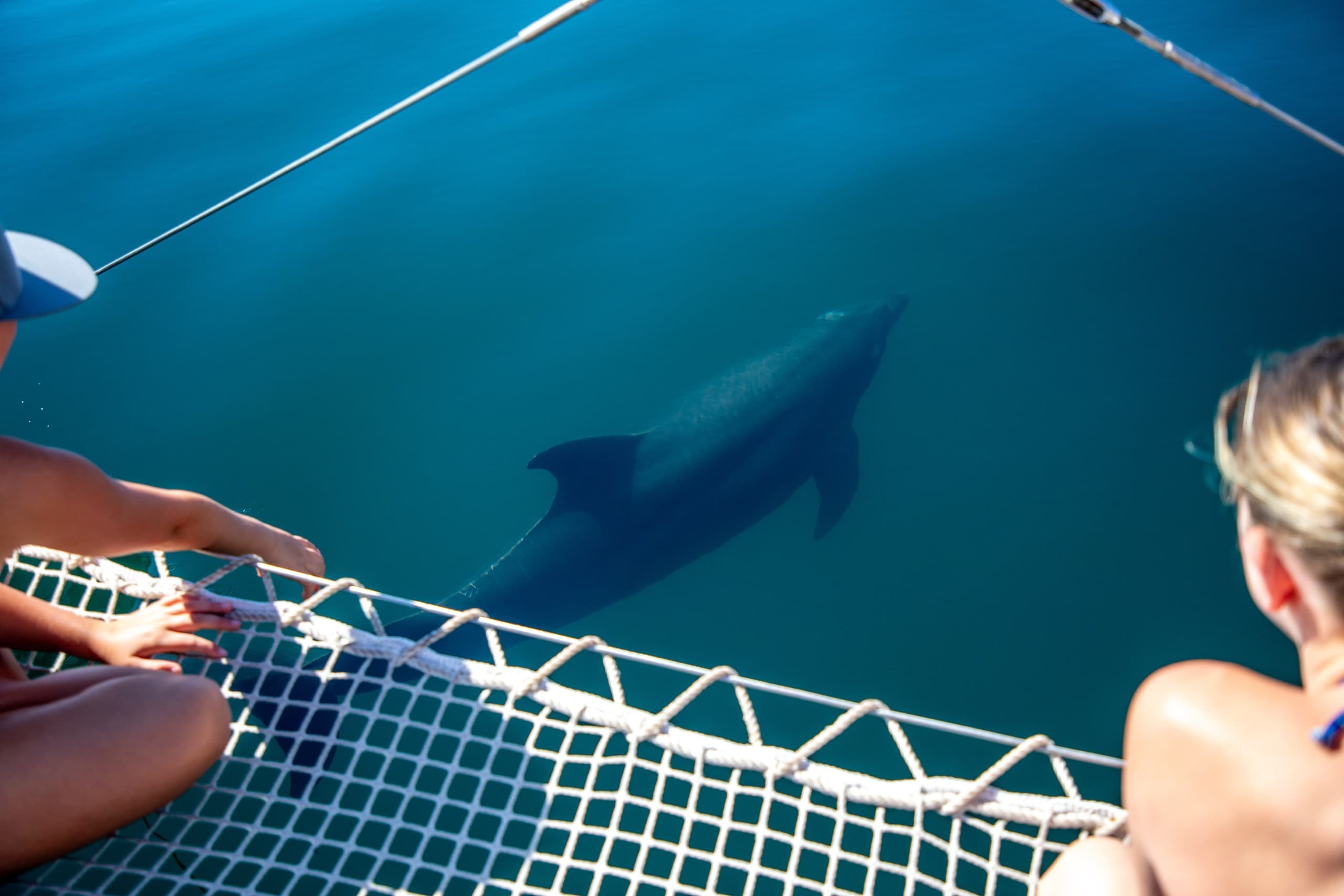 36' Catamaran Snorkel & Sunset Cruises in Loreto's Sea of Cortez photo 2