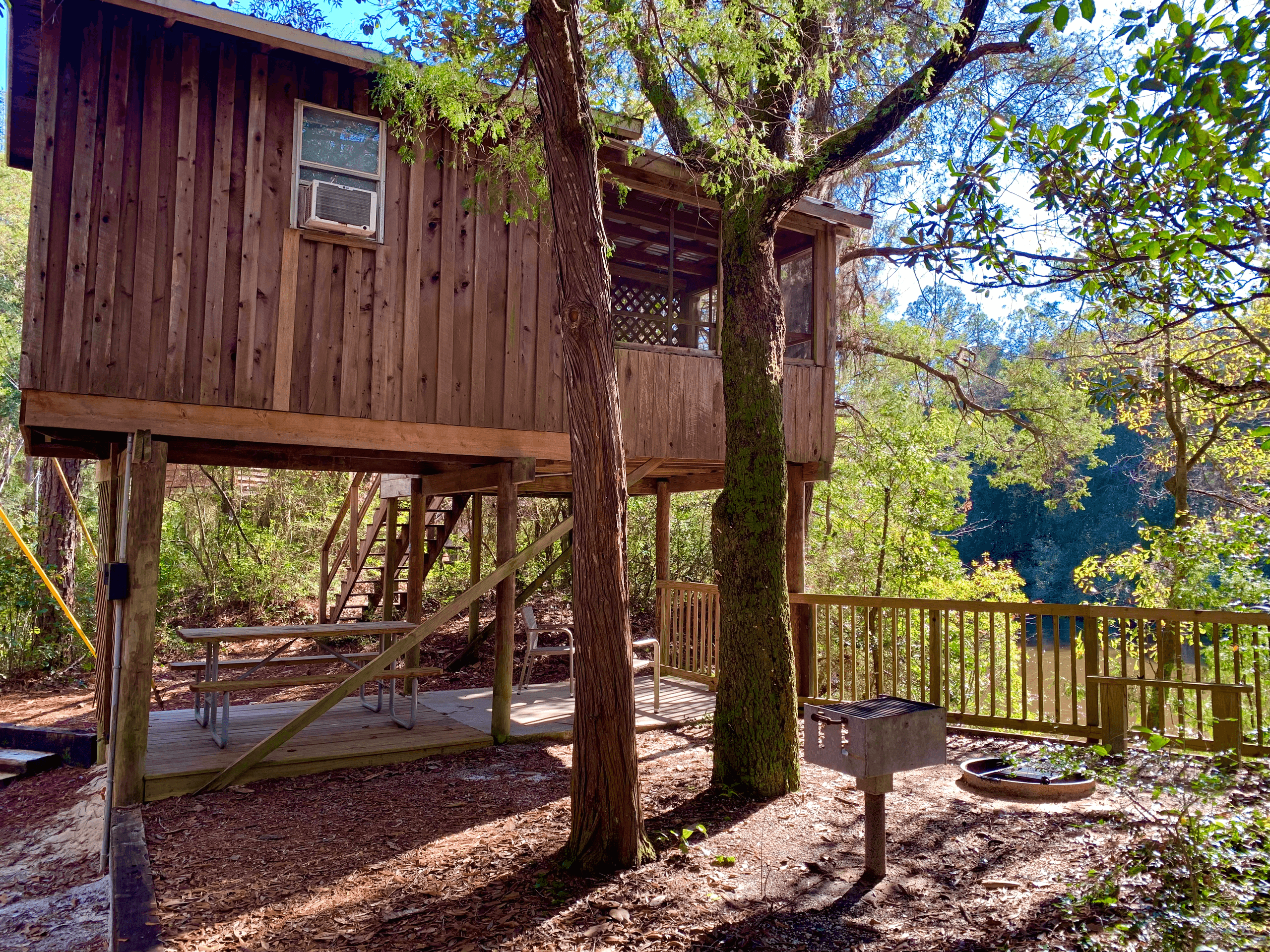 Rustic Cabin Escape with Adventures Unlimited in Nature