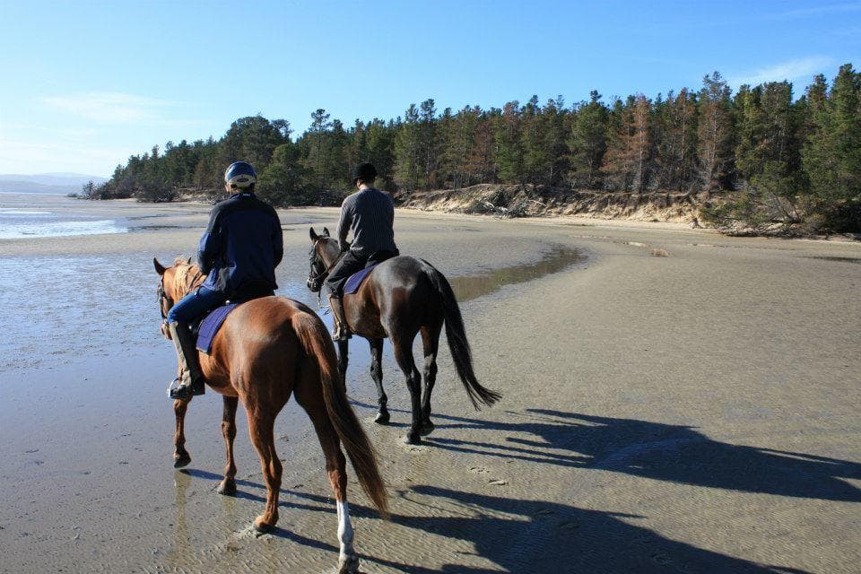 Bluff River Gorge Trail Ride with Horse Riding Tasmania