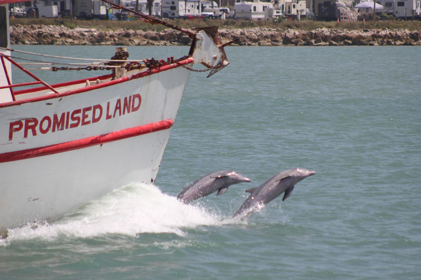 Water Activities & Osprey Cruises: Unique Bay Fishing Experience