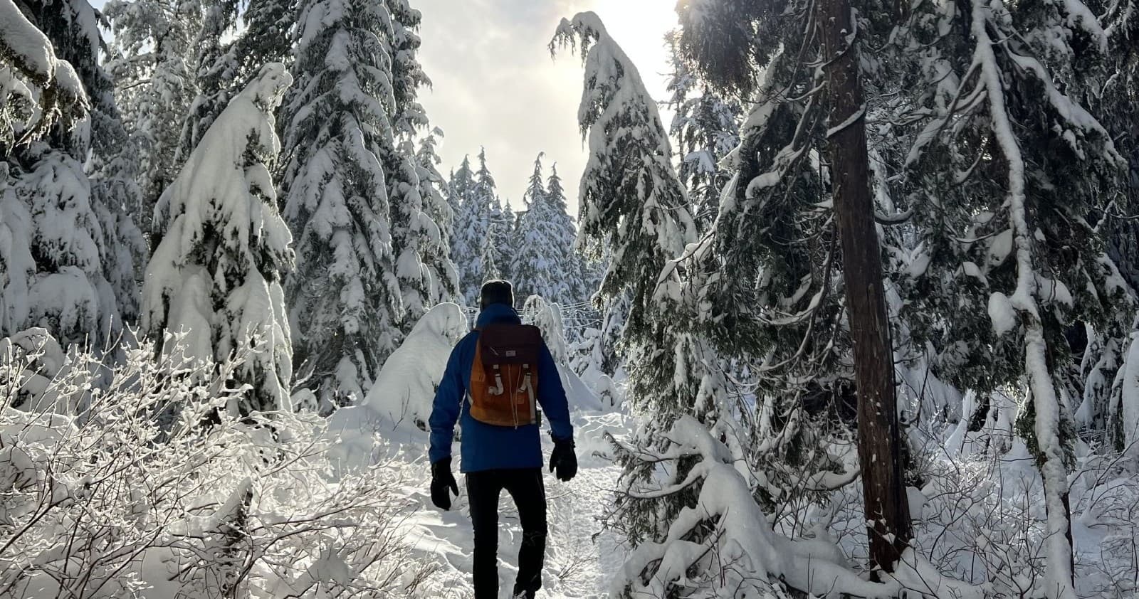 Experience Epic Snowshoeing Adventures At The Top Of The Sea To Sky Gondola