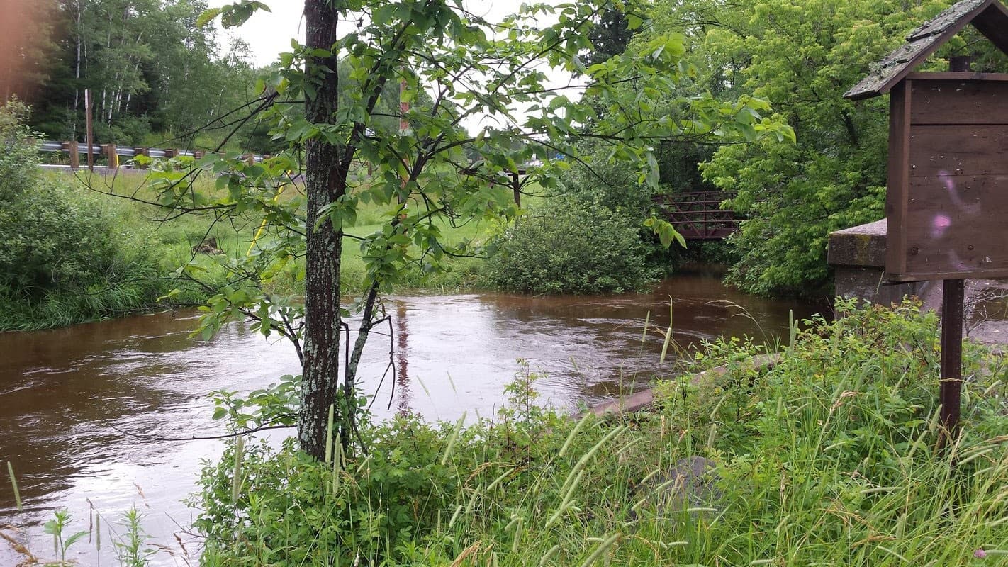Paddle the Meadows: Highway 2 to Pine Tree on the Brule River