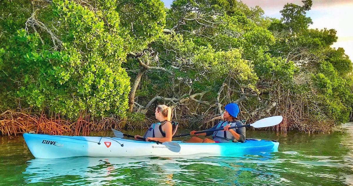 Coastal Kayak Charters fleet