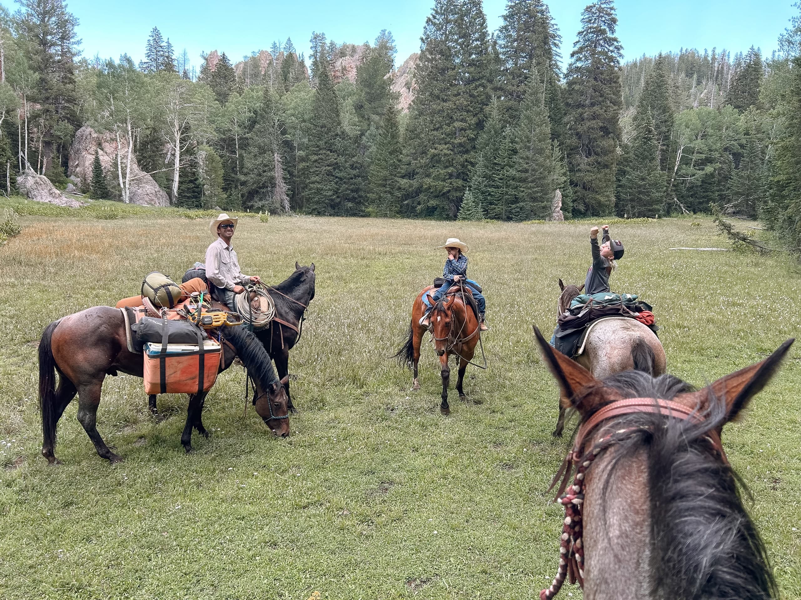 Full-Day Horseback Ride Above 7,000 ft in Gunlock, Utah