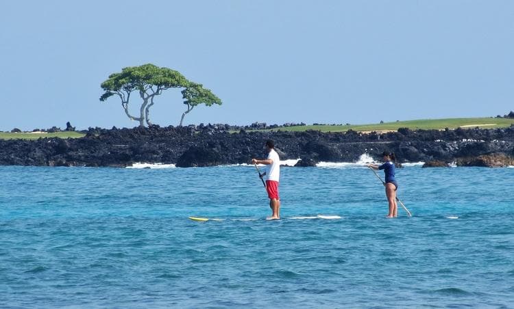 Private & Semi-Private SUP Lessons in Lahaina, Hawaii