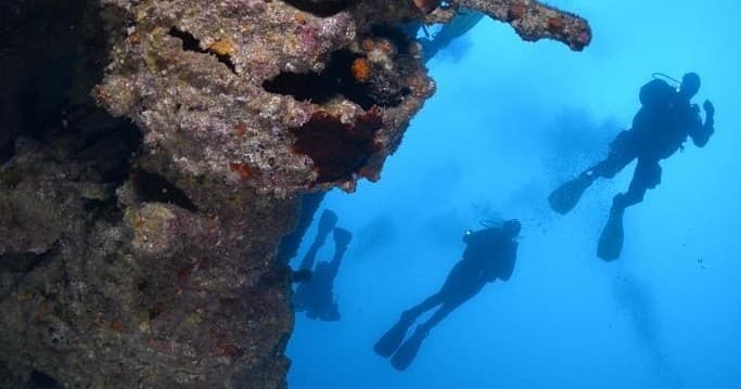 Diving Adventure at Buceo Canarias: Underwater Excitement in Canary Islands