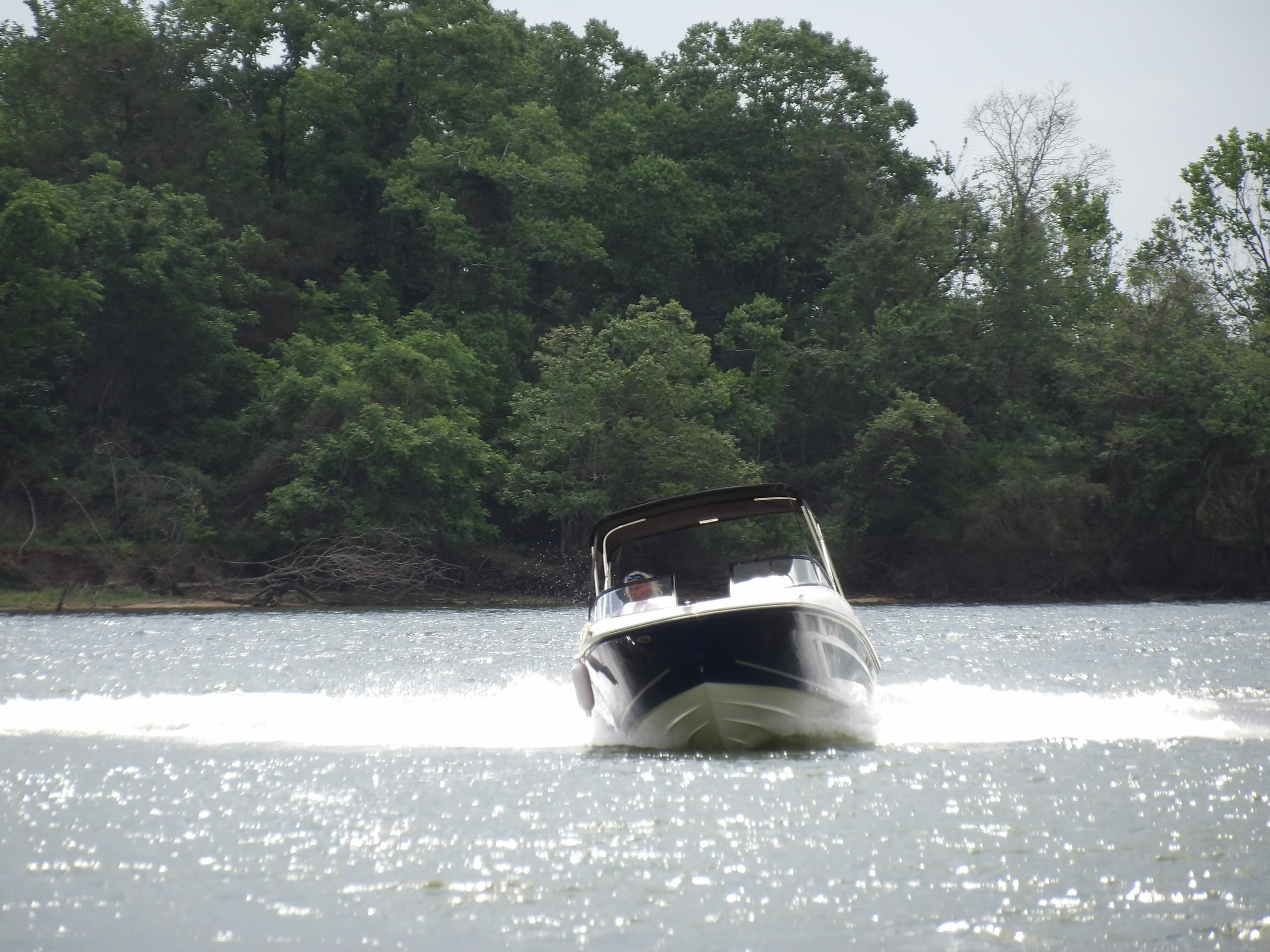 Pilot Your Own 19' Bayliner on Lake Conroe