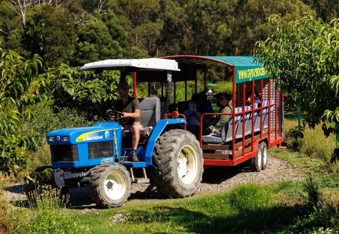 Rayner’s Orchard Tractor Tours: Family-Friendly Fruit Picking & Farm Trail in Woori Yallock