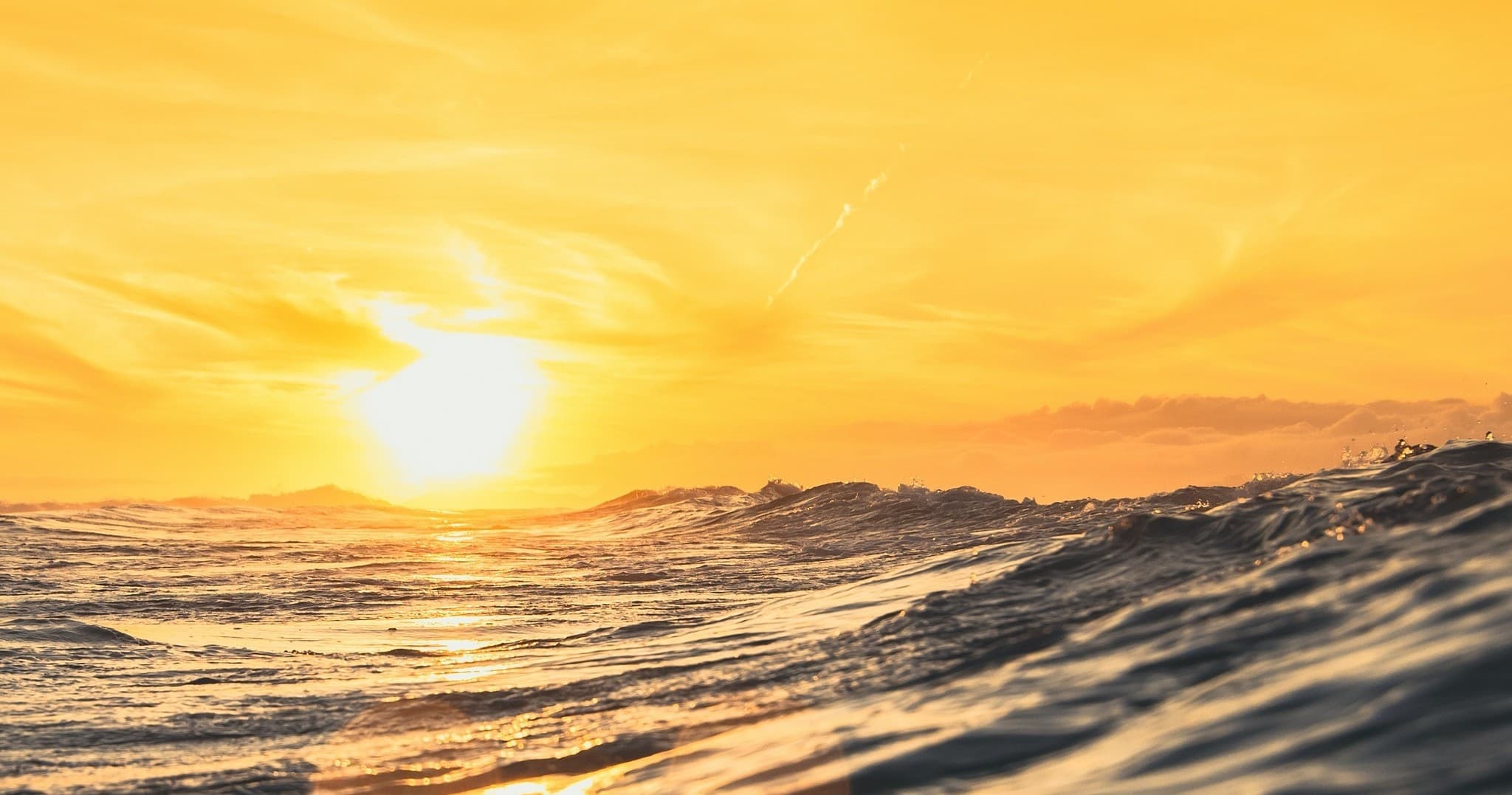 BYOB Sunset Cruise on the Water with Sweet Gig Charter