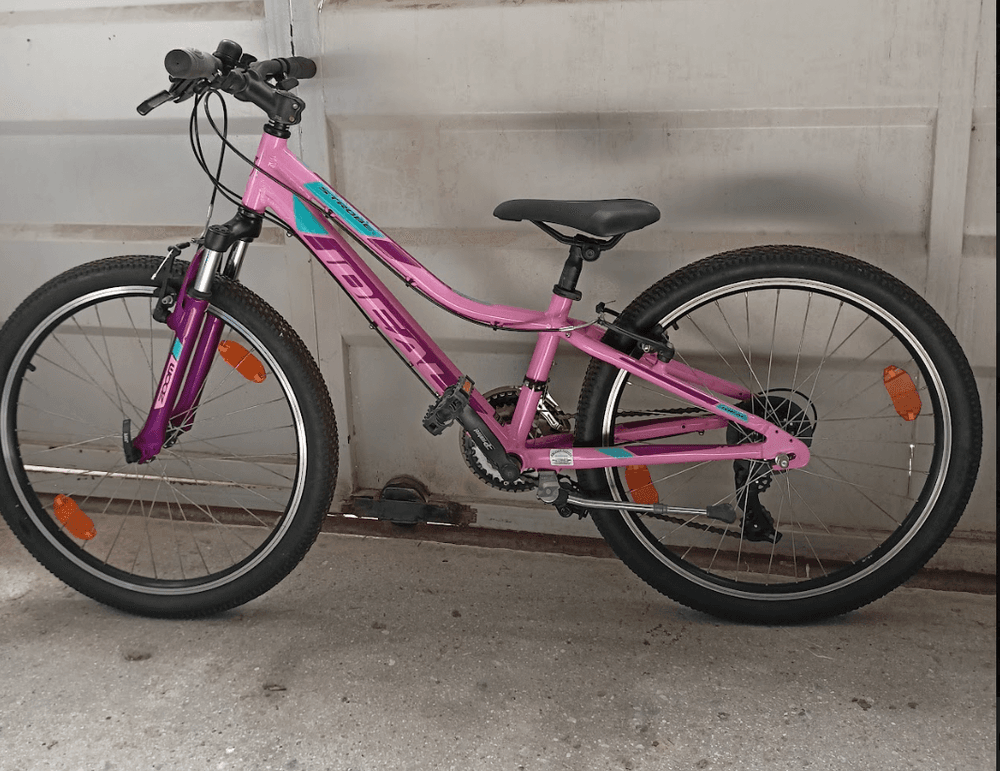 City Bike Tour with Panorama Bikes