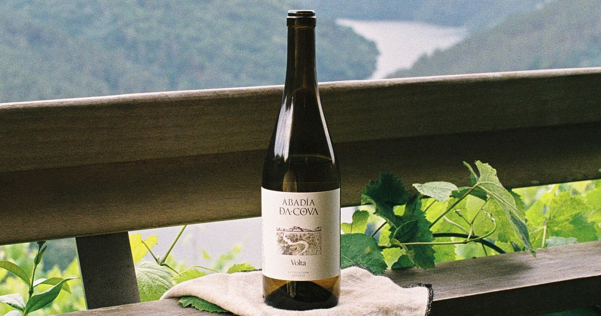 Sabores Heroicos: Ribeira Sacra Heroic Viticulture Tour & Wine Tasting photo 1