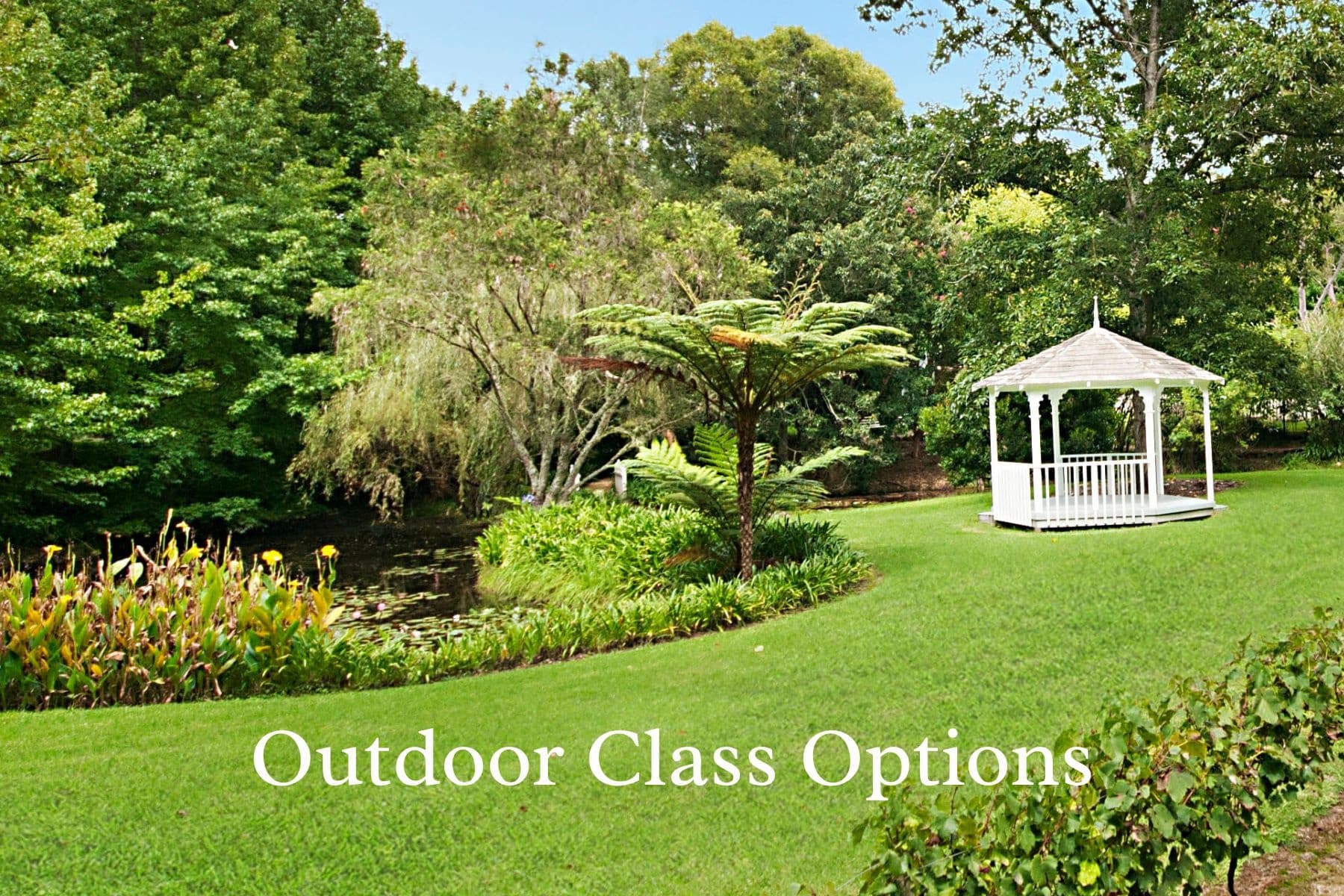 Garden-Edge Pilates at Lily Pond Studio, Firescreek Botanical Winery (Holgate, NSW) photo 3