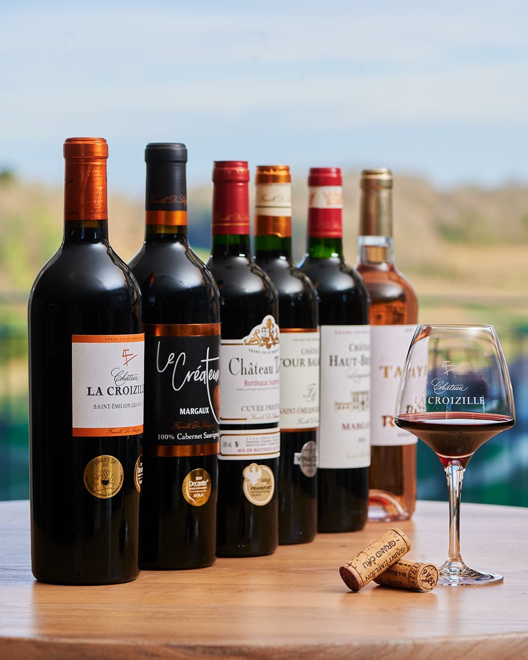 Bordeaux Wine Tasting at Chateau la Croizille, Gironde