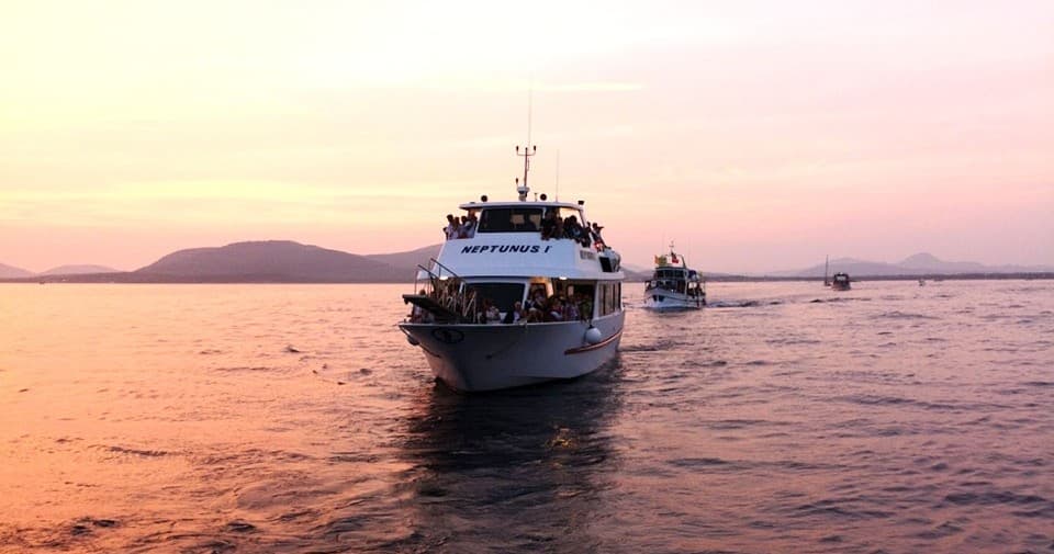 Linea Grotte: 40-Minute Boat to Grotte di Nettuno from Alghero