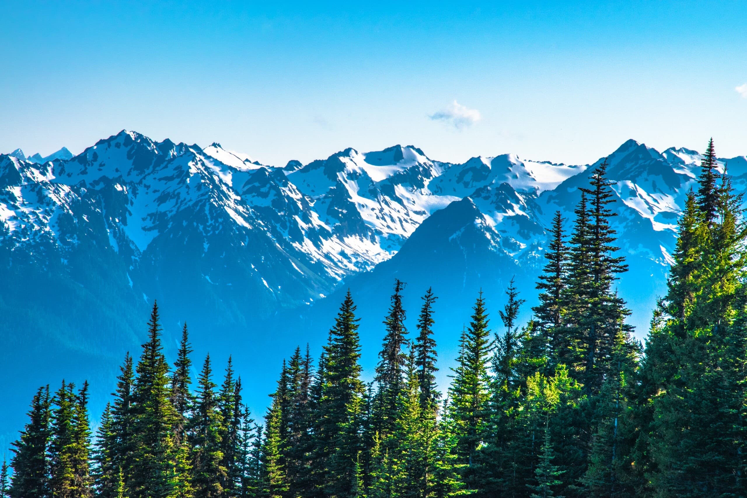 Electric Bike Rentals at Log Cabin Resort — Explore Port Angeles & the Olympic Peninsula