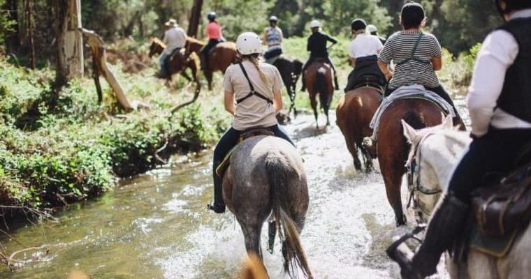 Horseback Riding & Wilderness in Watson's Mountain Country