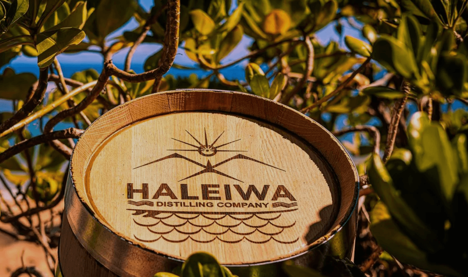 Haleiwa Distillery fleet