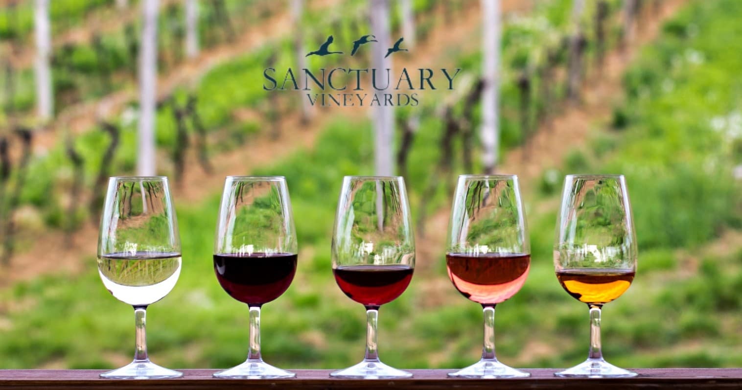 Exploring Sanctuary Vineyards: A Scenic 4x4 Vineyard Safari from Kitty Hawk, NC