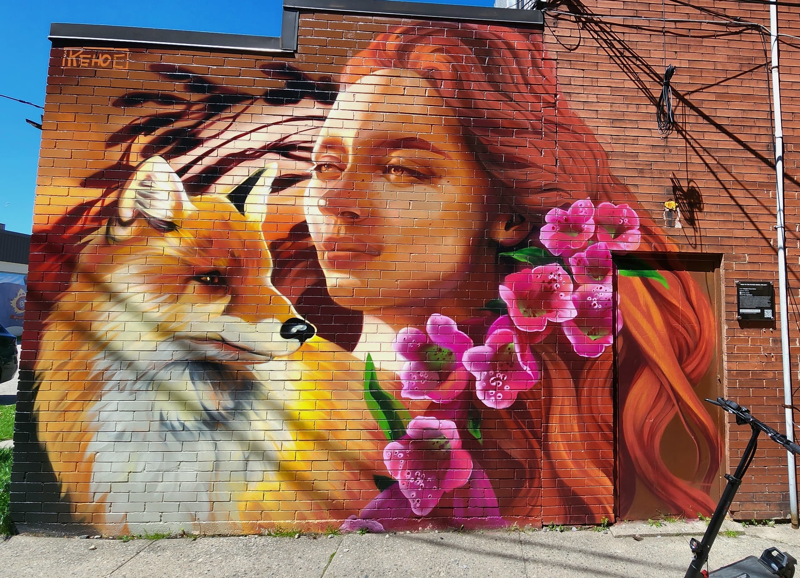 Explore St. Thomas Art on an Eco-Friendly Afternoon Bike Tour