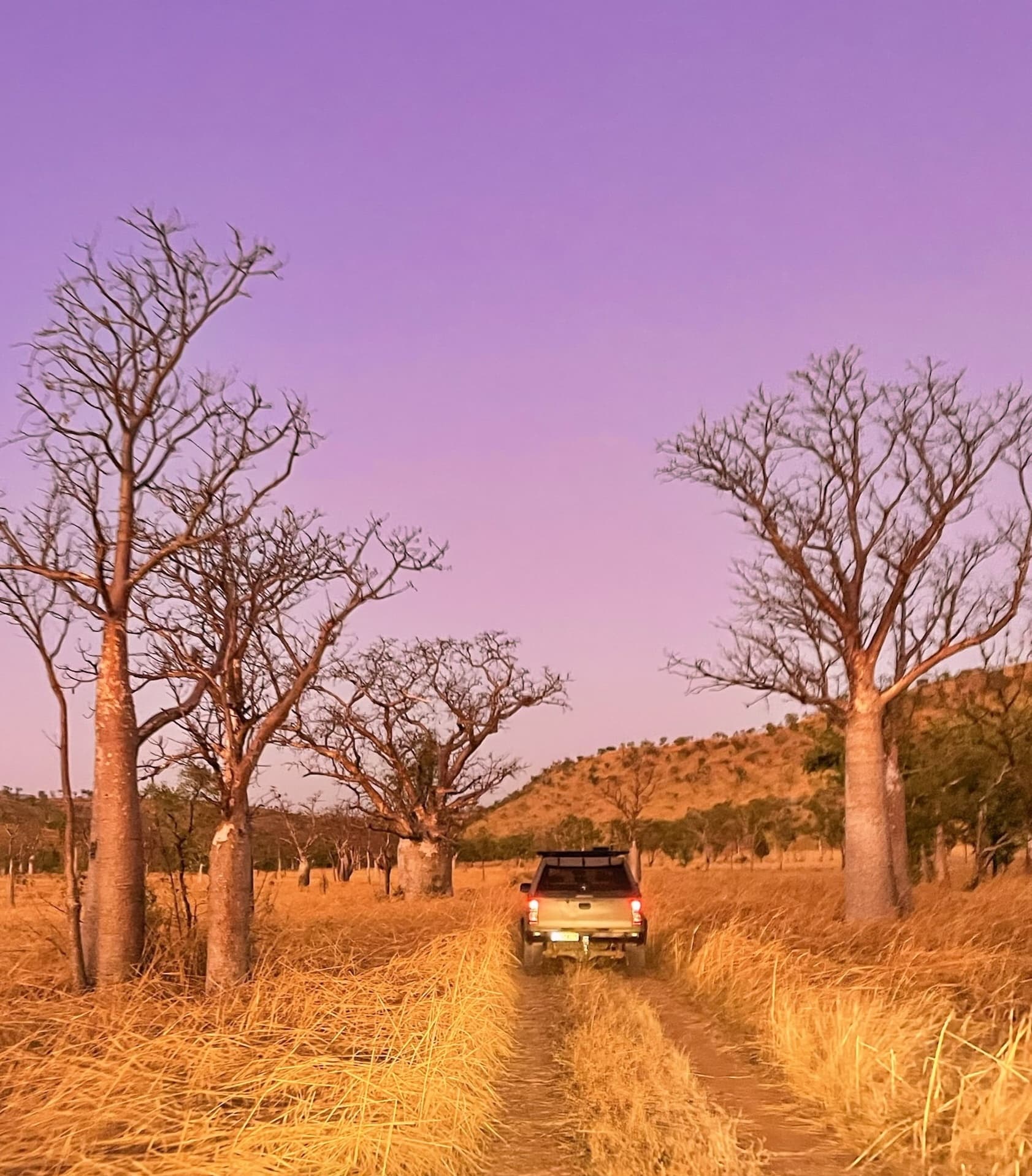 Land Adventures in Kununurra with Morning Custom Half Day Tour