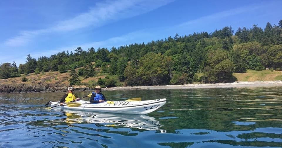 Two kayakers paddling in calm bay with forested shoreline view