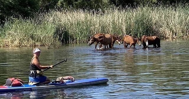 Salt River Kayak Rentals in Tempe, Arizona