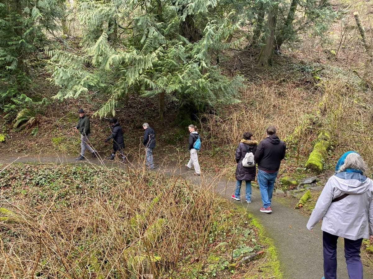 Forest Bathing and Tea Ceremony: Two-Hour Wellness Walk from Portland photo 3