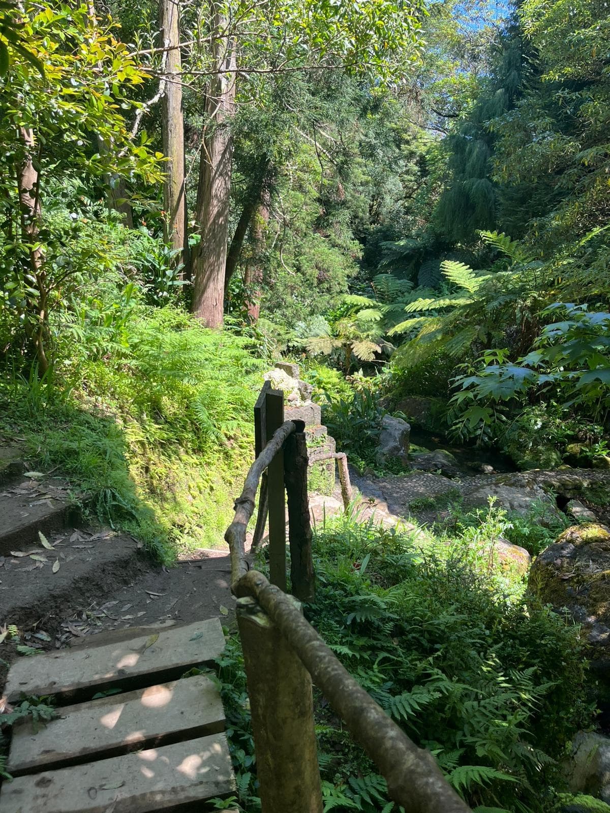 Waterfall Wanderlust Hike on São Miguel: Mill Ruins, Cascata da Gruta and Atlantic Views photo 2