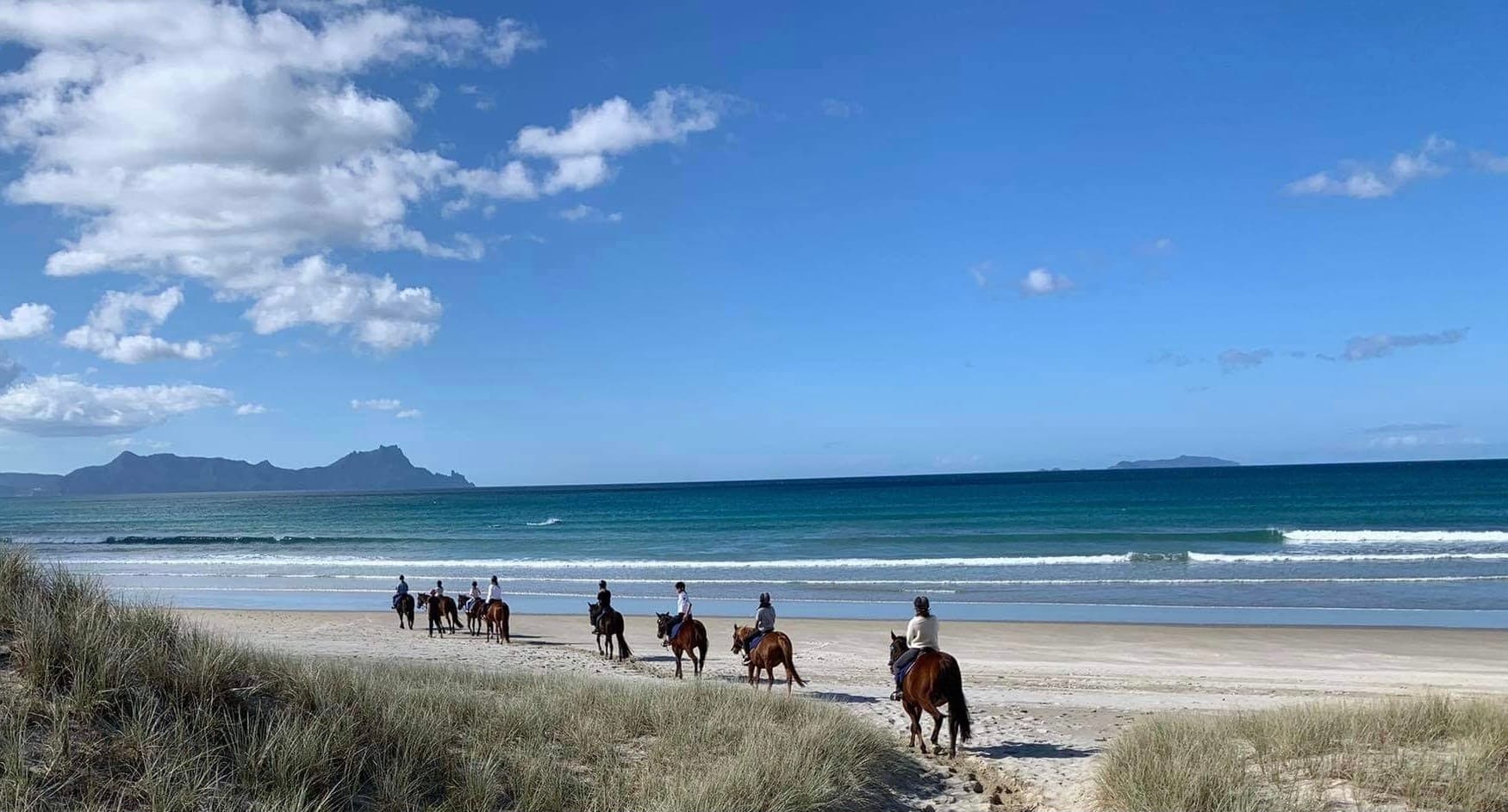 Riders trotting along coastal dunes with ocean backdrop