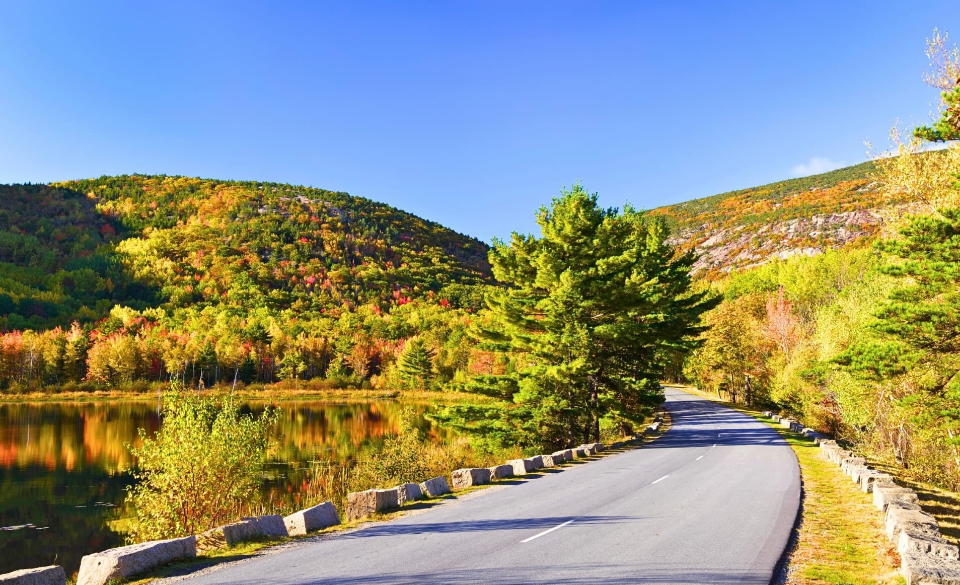Lakeside scenic drive with clear sky and rolling forested hills