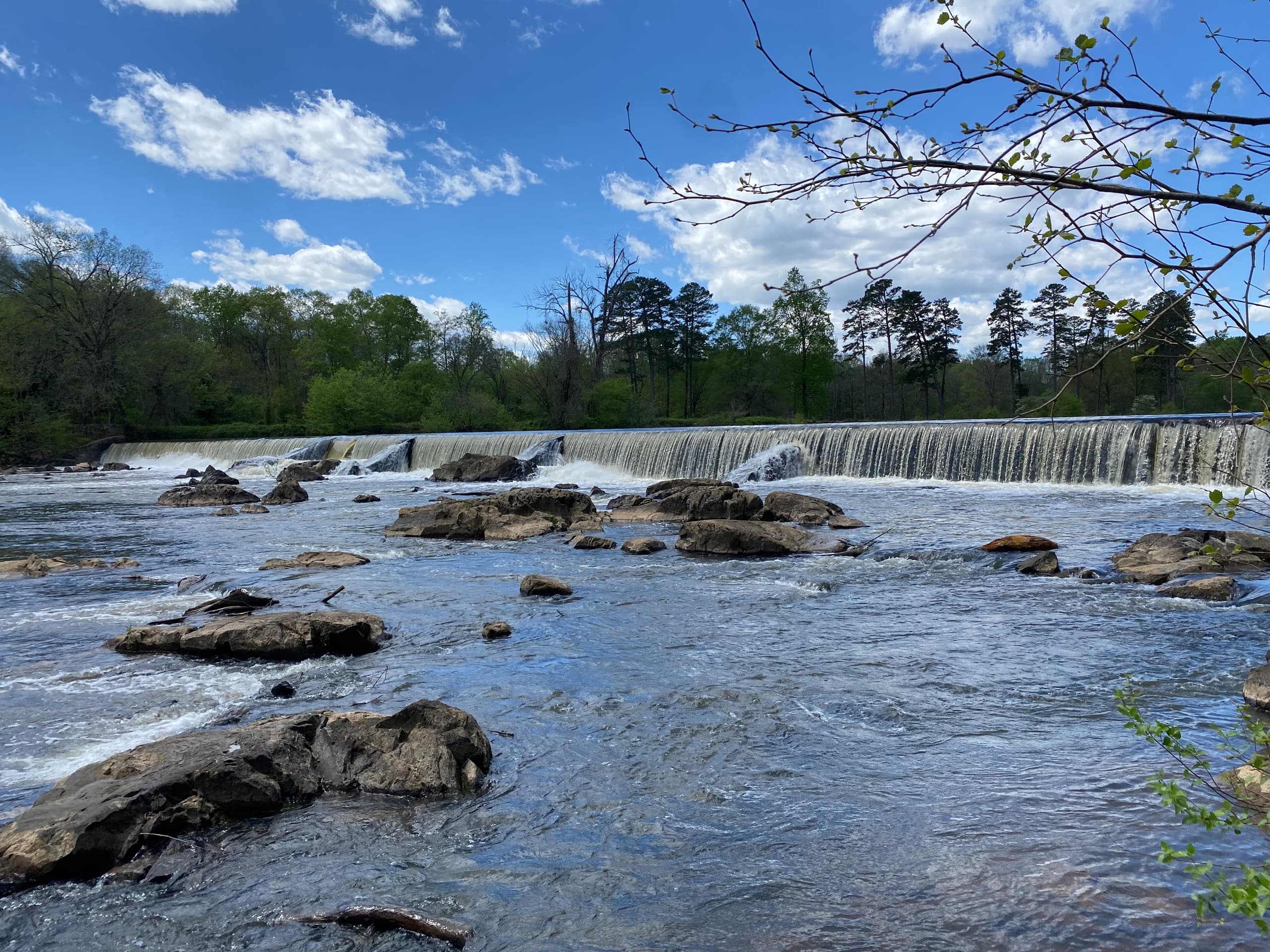 Serene Flatwater Paddle from Swepsonville River Park to Saxapahaw Lake on the Haw River