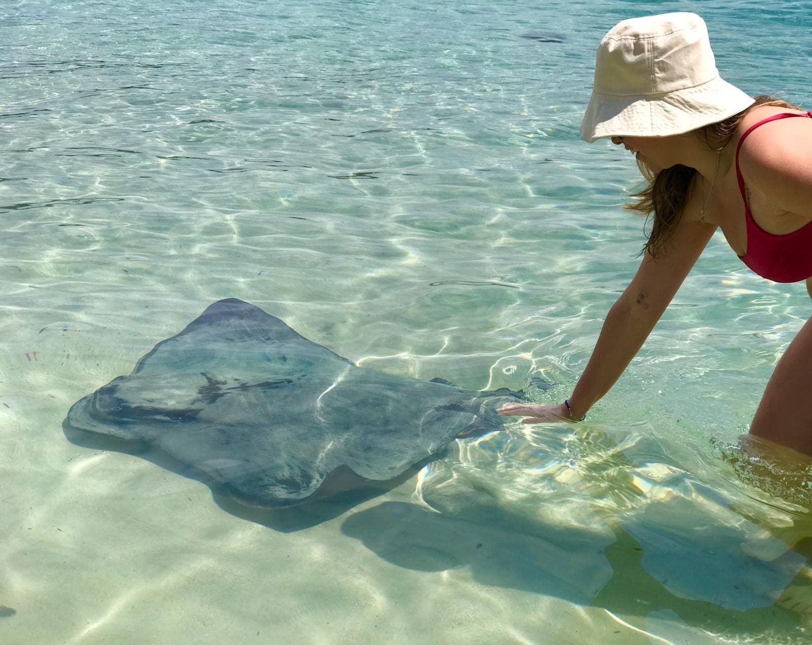 Bendalong Beach & Wildlife Day Tour from Sydney — Stingrays, Kangaroos & Beach BBQ