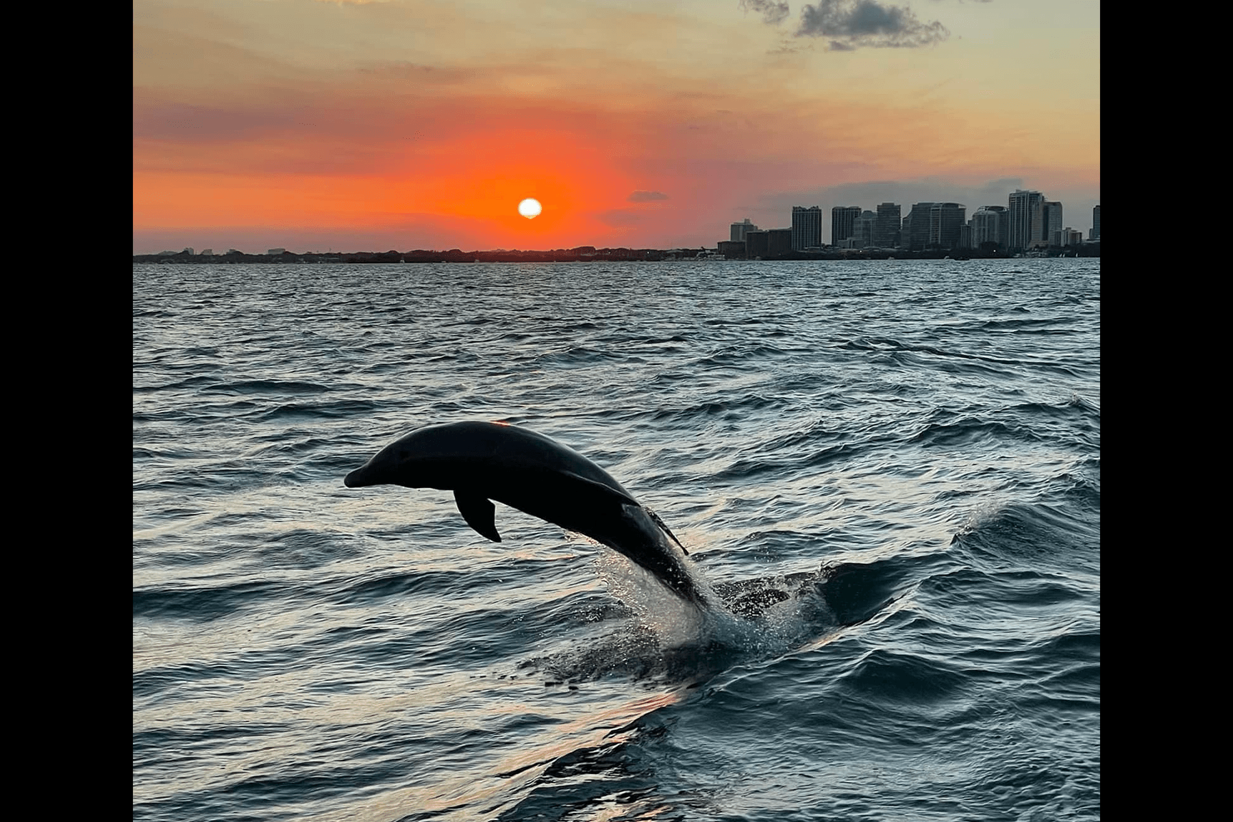 Experience the Vizcaya Sunset Cruise: Miami Beach’s Elegant Evening Escape