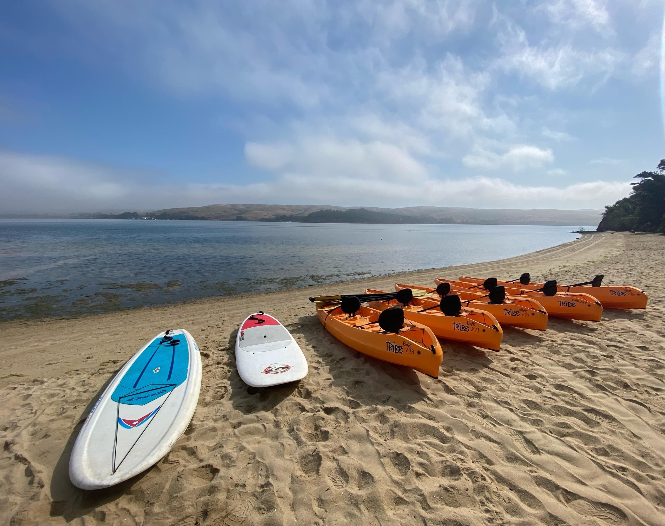 Drop-Off Kayak Rentals on Tomales Bay — Easy Access to Point Reyes Paddling photo 3