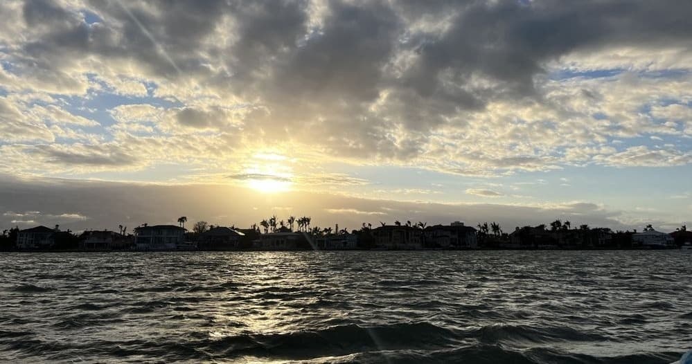 Dramatic shoreline sunset with silhouetted palms over water