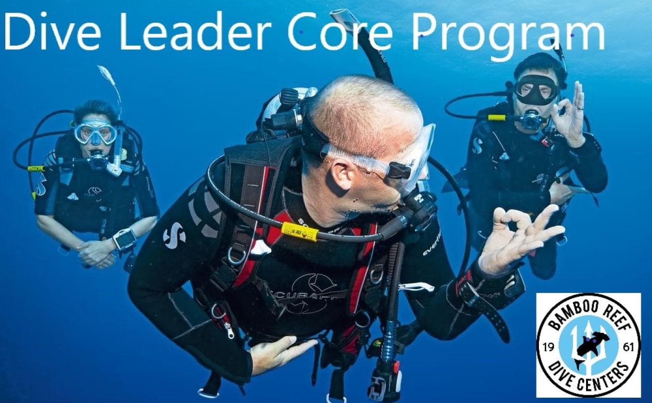 Dive Pro: SSI Dive Leadership Assessment in the USA