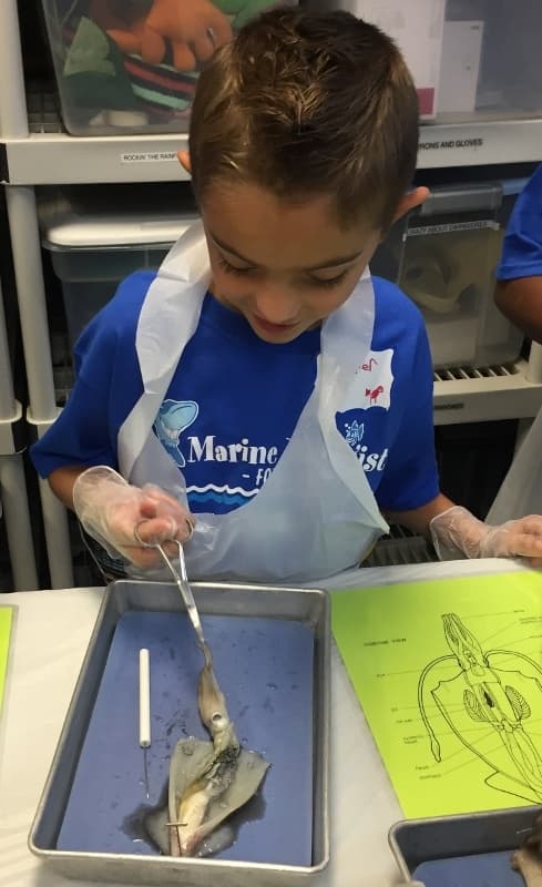 Hands-On Marine Biology at Downtown Aquarium Houston