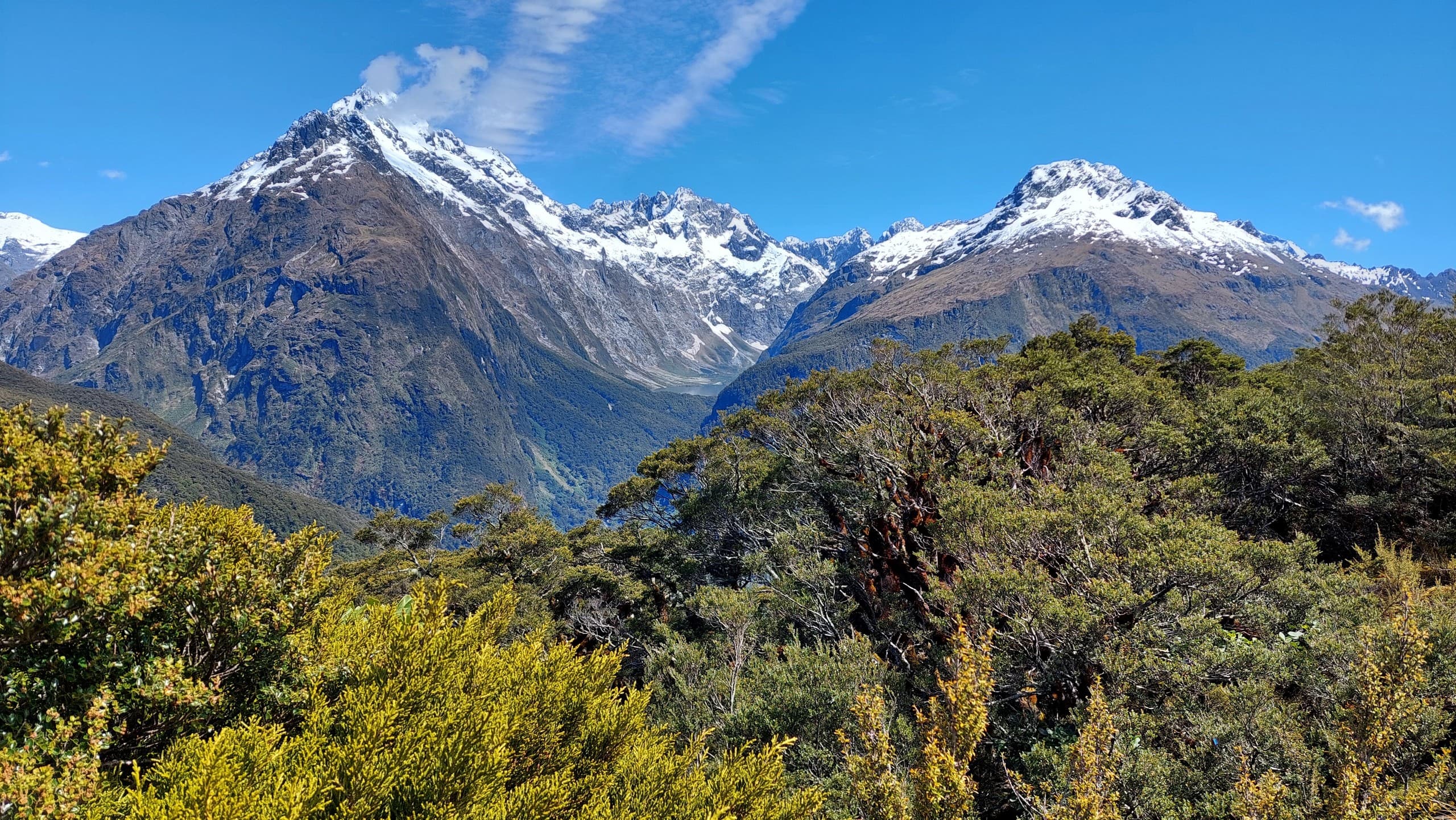 Key Summit Scenic Walk: Guided Alpine Tarn Hike with Fiordland Mountain Views photo 1