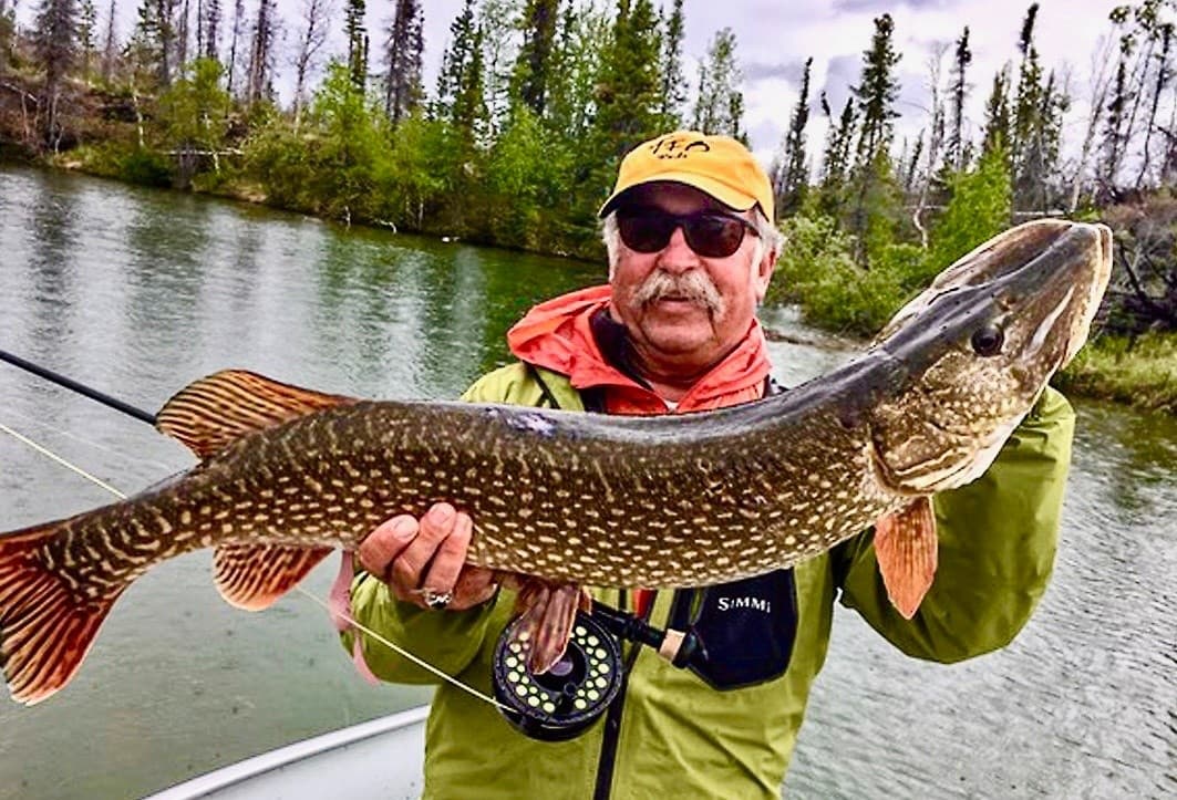 Sight Fishing for Northern Pike at Talbot Lake: Full-Day Guided Trip from Jasper