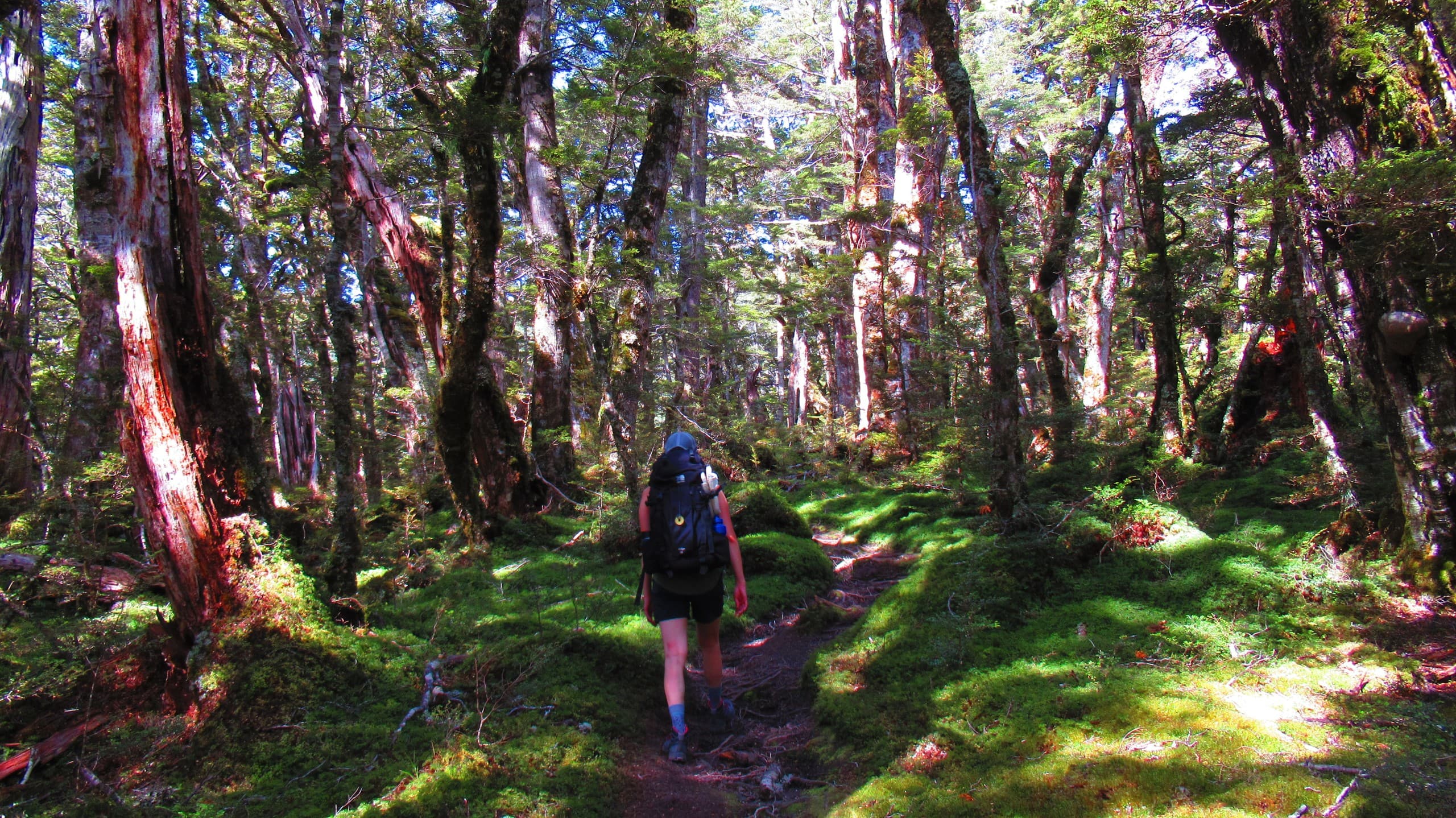 Green Lake Wilderness Escape: Two-Day Hut Overnight in Fiordland