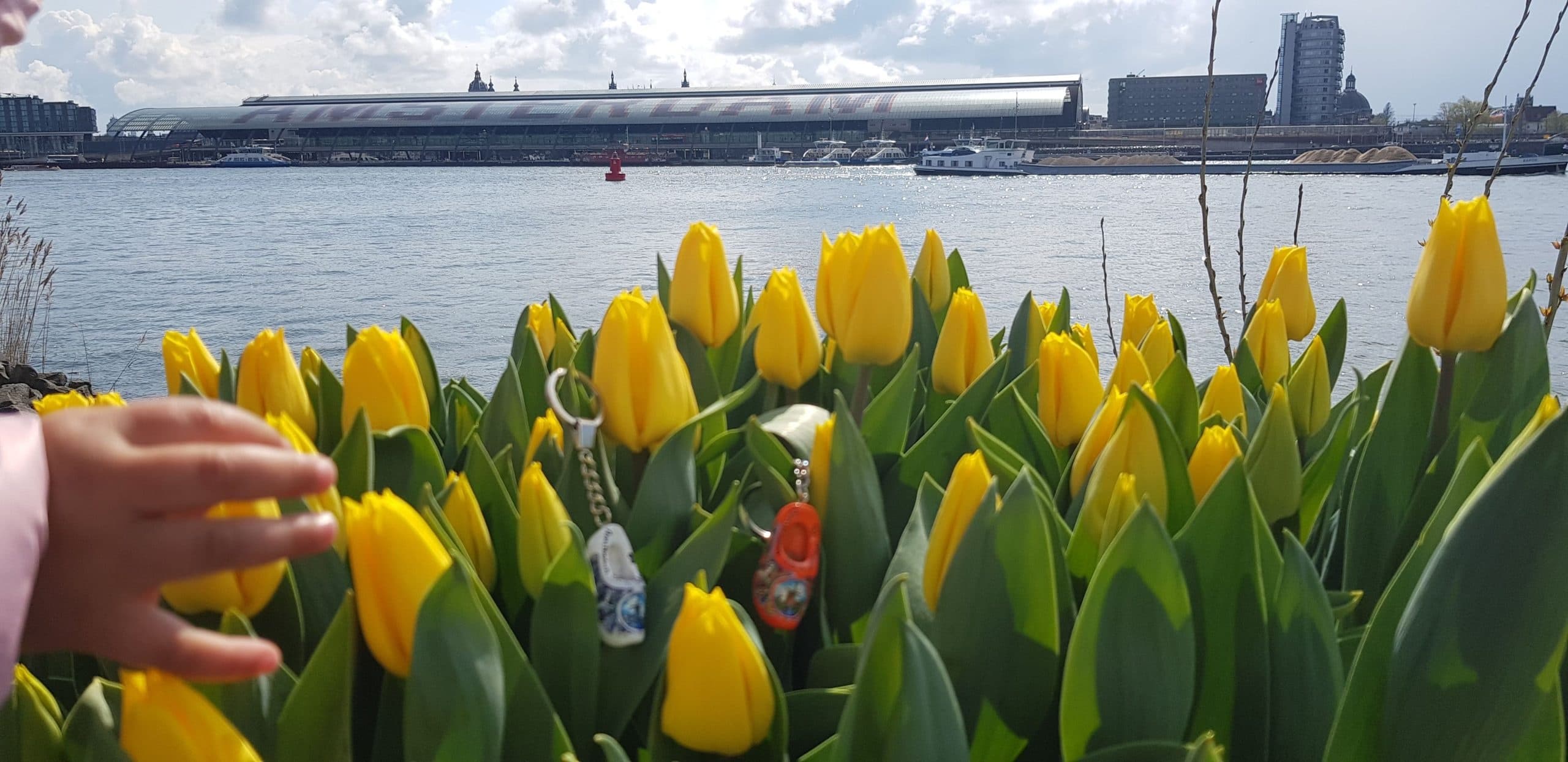 Spring Flower & Canal Tour with Keukenhof and Amsterdam Cruises