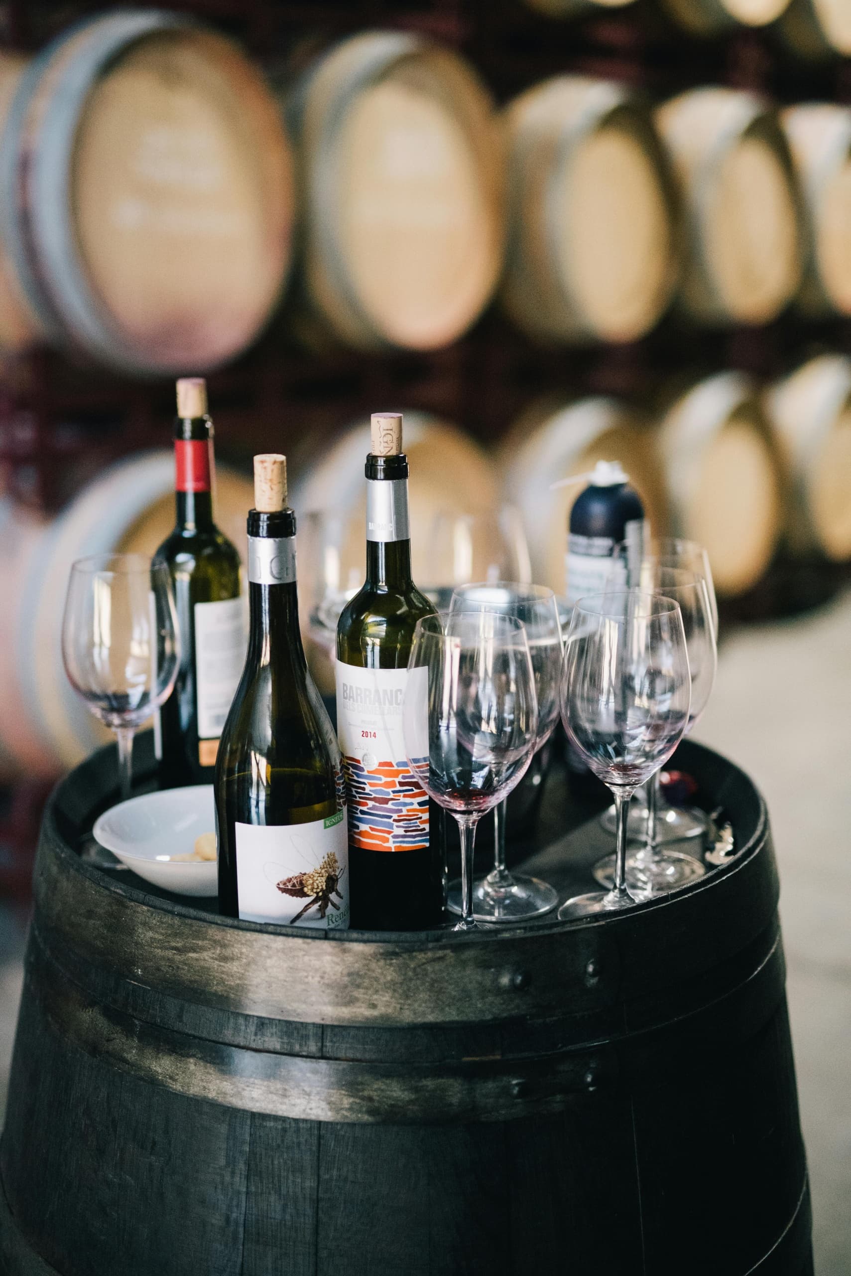 Wine Tasting & Gourmet Experience at Guatazales Winery
