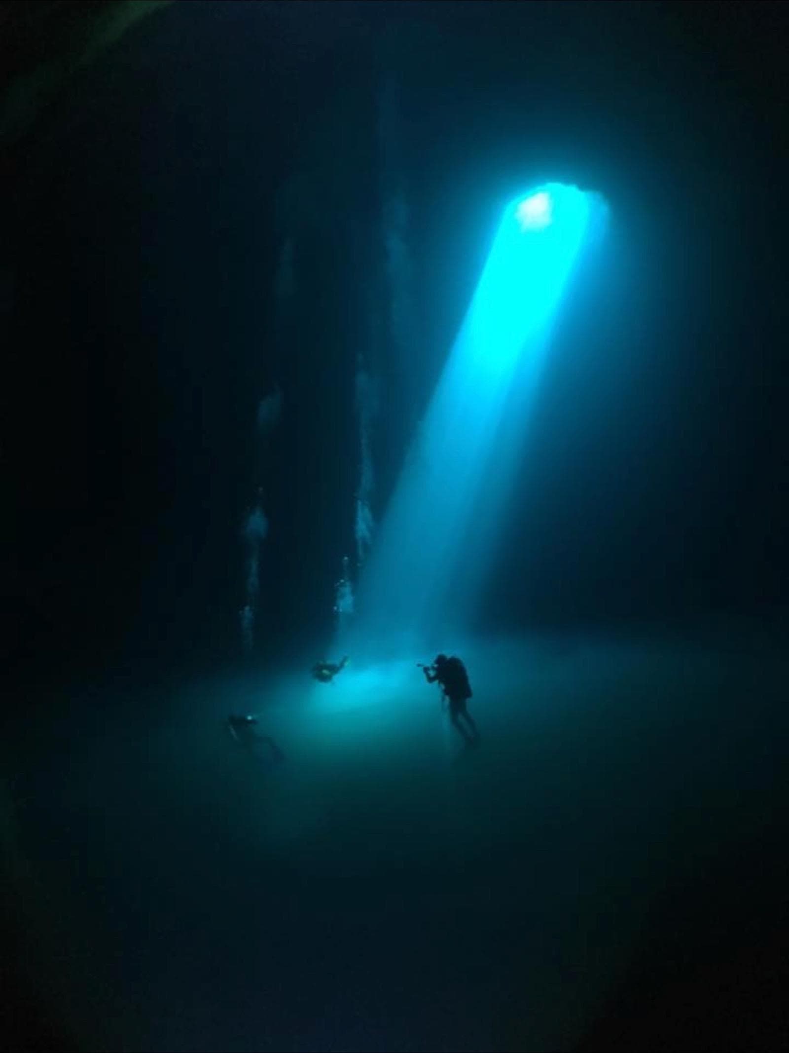 Deep Life’s Cenote Diving Adventure Near Cancún