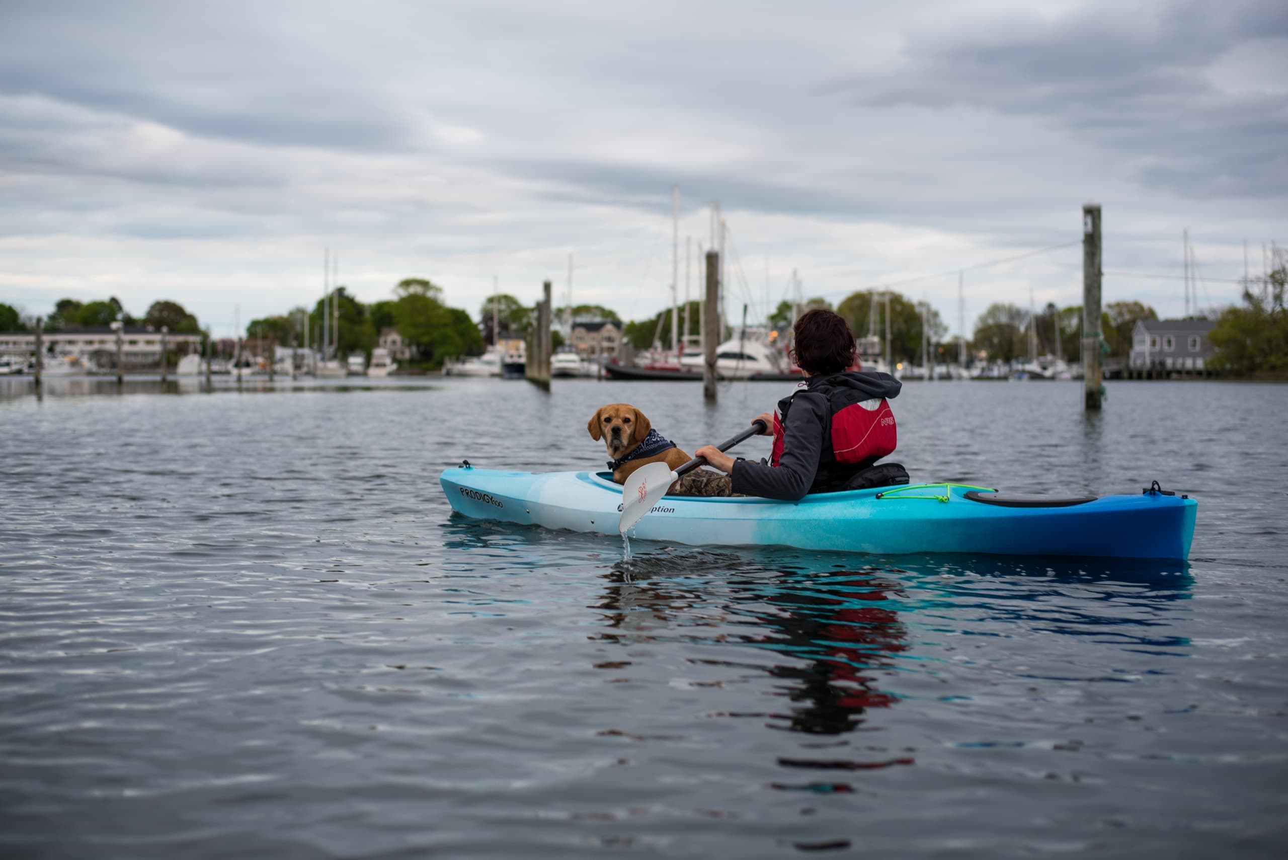 4 Hour Kayak & Paddleboard Rental in Wickford, RI